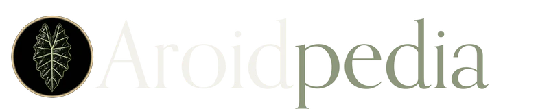 Aroidpedia