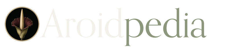 Aroidpedia