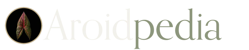 Aroidpedia