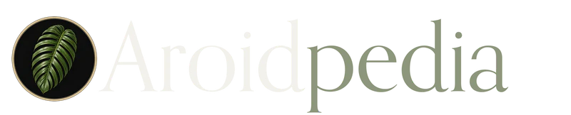 Aroidpedia