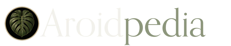 Aroidpedia