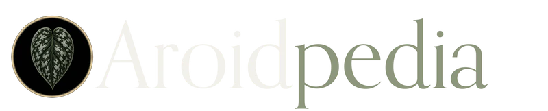 Aroidpedia