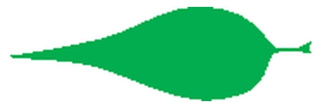 acuminate