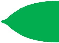 apiculate