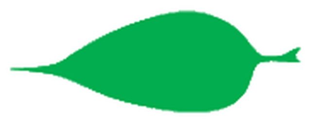 aristate