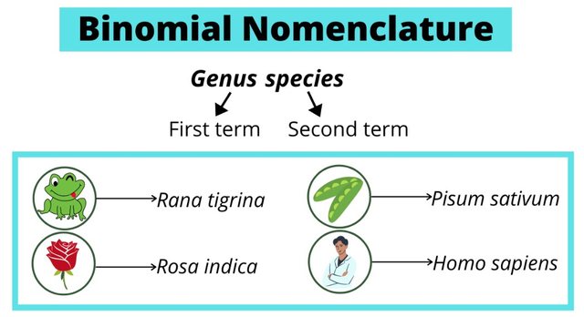 binomial