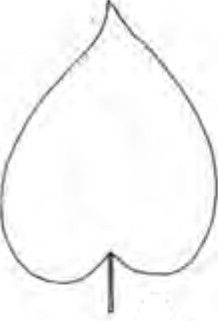 cordate