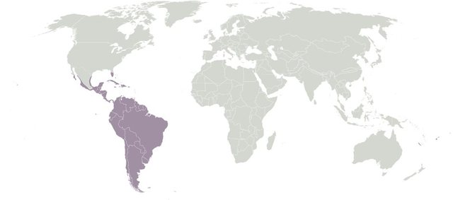 neotropical
