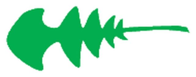 pinnatisect