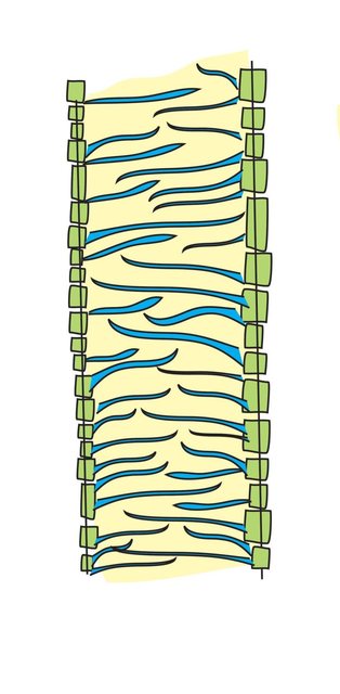 scalariform