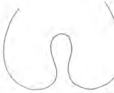 spathulate