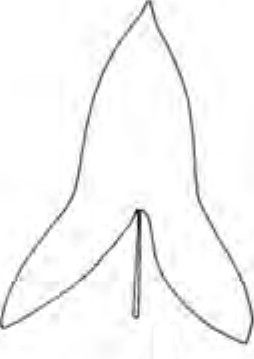 subhastate