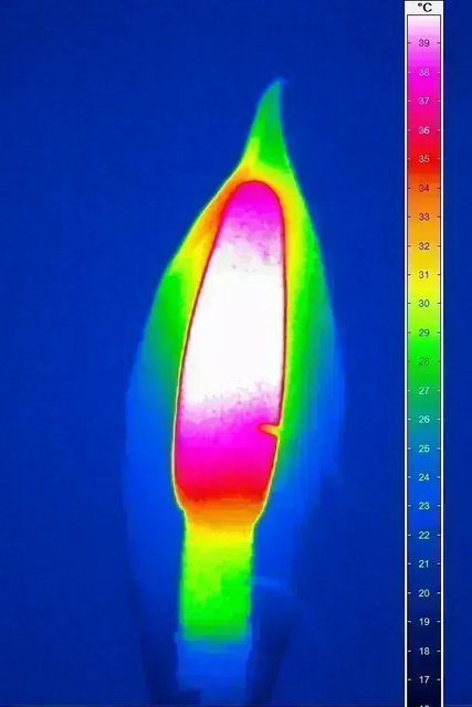 thermogenesis