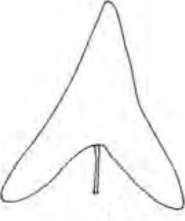 triangular