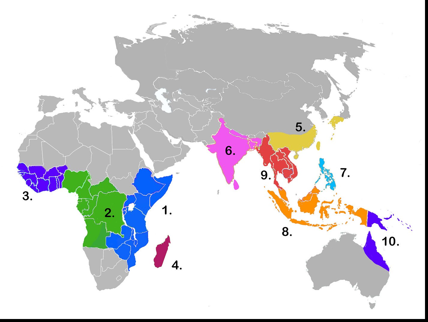 A world map of Africa, southern Asia and Australasia with the
              countries that have Amorphophallus filled in ten colours and
              numbered 1 to 10. Numbers 1 to 4 cover East, Central and West
              Africa and Madagascar; 5 to 10 run from China and Japan through
              India, the Philippines, Indonesia, mainland Southeast Asia and
              northern Australia. Everywhere else is grey