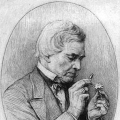 Portrait of August Heinrich Rudolf Grisebach