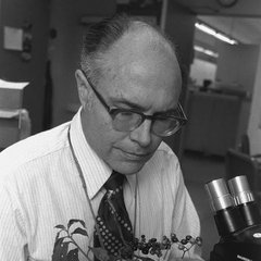 Portrait of Dan H. Nicholson