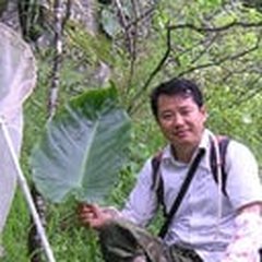 Portrait of Jian‐Jun Gao