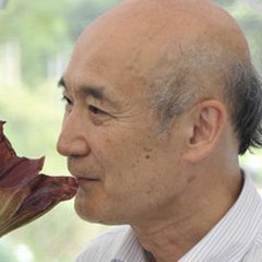 Portrait of Jin Murata
