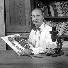 Portrait of Julián A. Steyermark