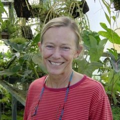 Portrait of Lynn P. Hannon
