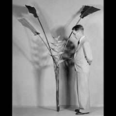Portrait of Paul Carpenter Standley