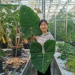 Portrait of Qiong Fang