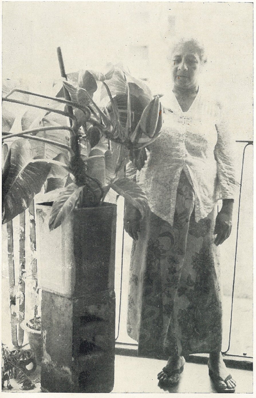 A black-and-white photograph of a woman standing on a balcony beside a tall climbing plant in flower, growing from a square tin